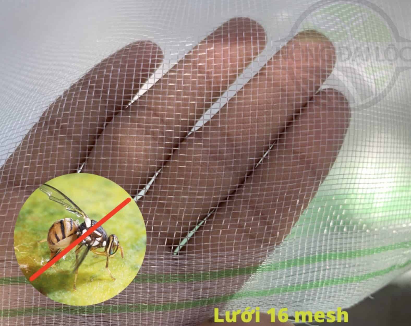 Lưới trùm cây ăn trái và Lưới Trùm Cây Mận: Giải pháp hiệu quả cho bảo vệ cây trồng 4 CleanShot 2023 08 18 at
