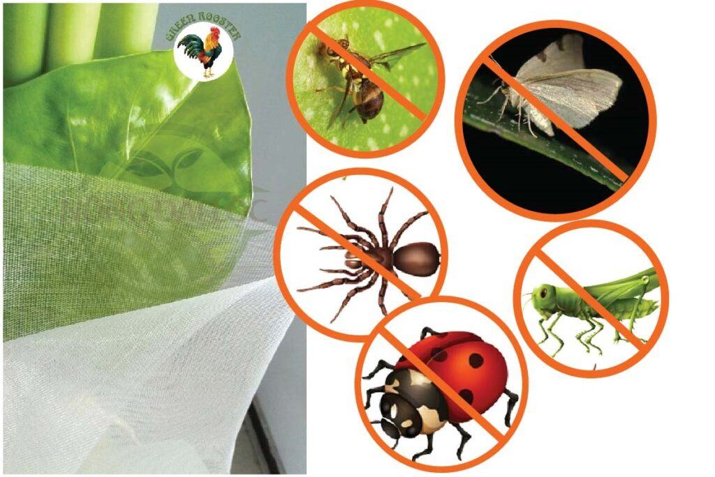 Lưới-Trùm-Cam-Ngăn-Ruồi-Vàng-Gây-Hại
