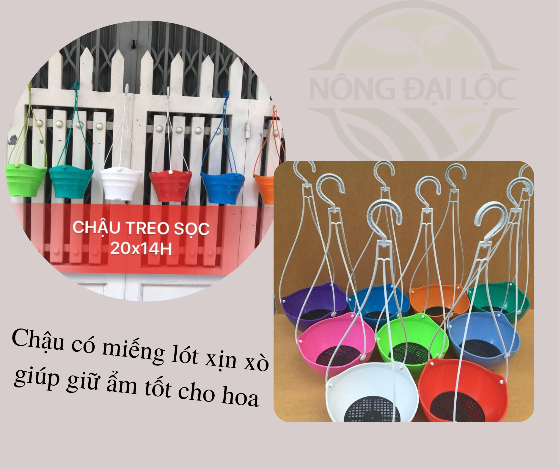 chau-nhua-treo-gia-re-Dai-Loc 1