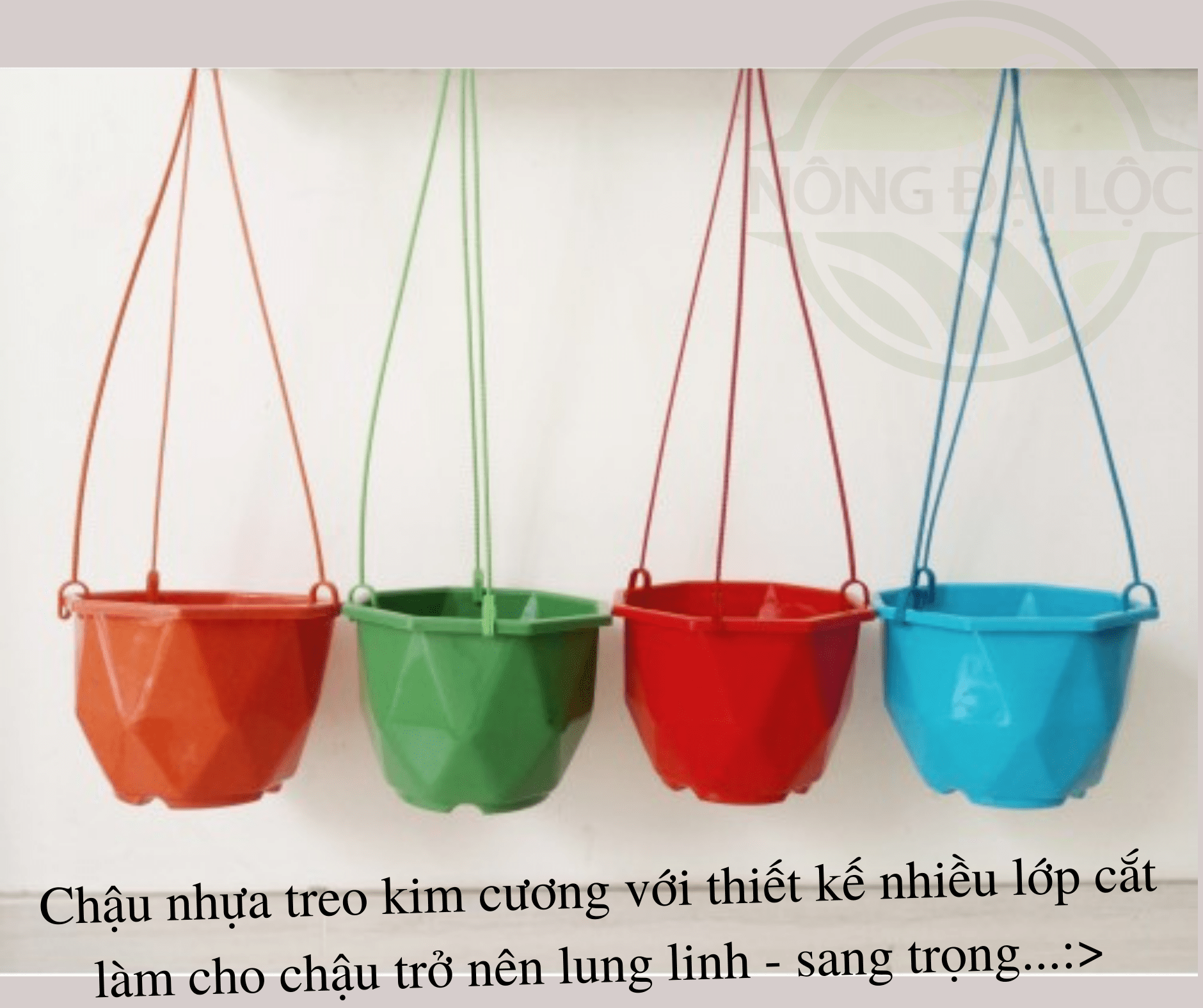 chau-nhua-treo-gia-re-Dai-Loc-2