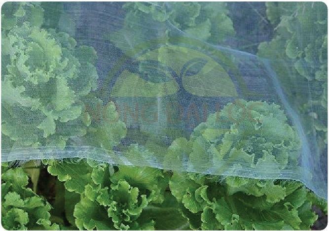 Lưới Chắn Côn Trùng 16 Mesh 9 luoi-ngan-ruoi-vang