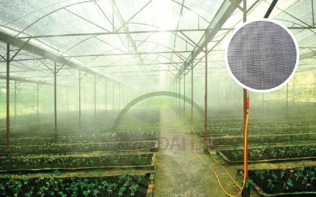 luoi-50mesh-trong-dua-luoi