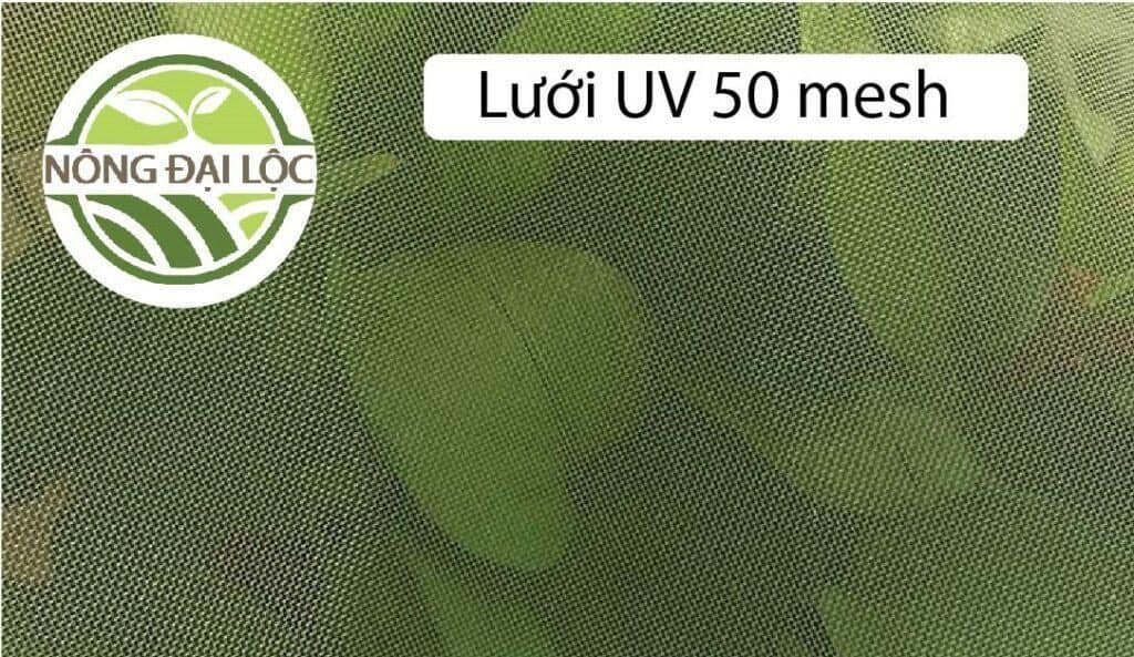 luoi dai loc luoi chan con trung uv 50 mesh