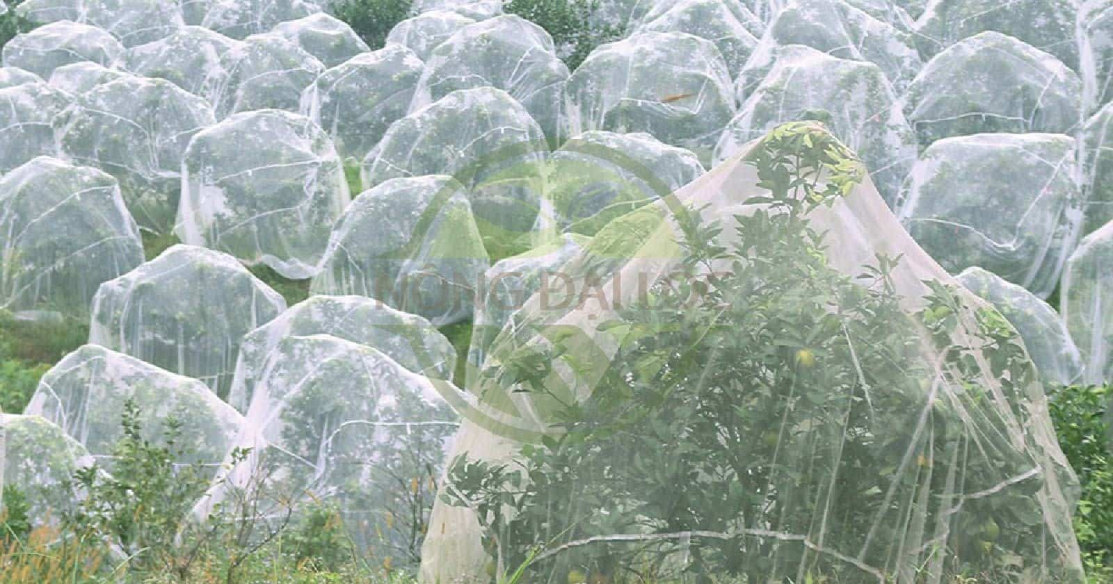 Lưới mùng 16 mesh - nông đại lộc