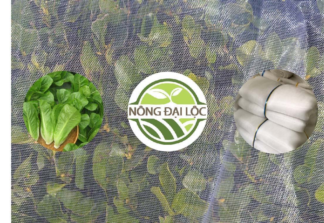 Lưới Trồng Rau Giá Rẻ 4 luoi ngan con trung trong rau sach luoi dai loc