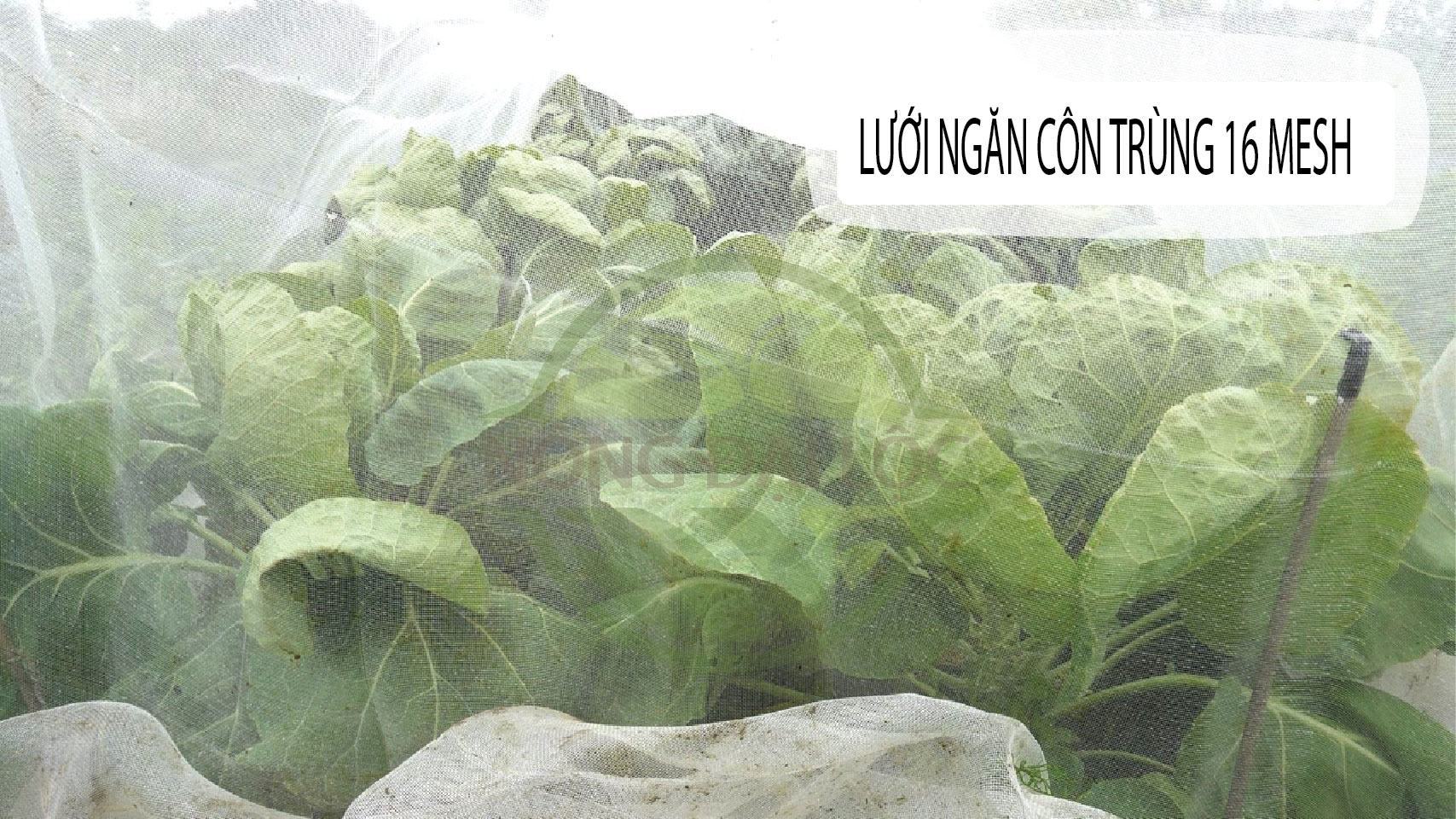 Lưới Chắn Côn Trùng 16 Mesh 6 Lưới-ngăn-côn-trùng-16-mesh