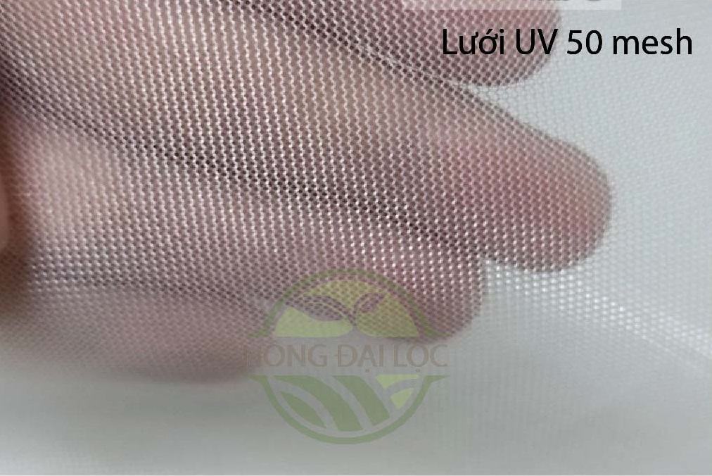 luoi-50-mesh