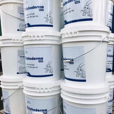 Trichoderma Dế Mèn: Tăng cường sức khỏe và phòng ngừa bệnh cho cây trồng 3 2 1 1152x1536 1