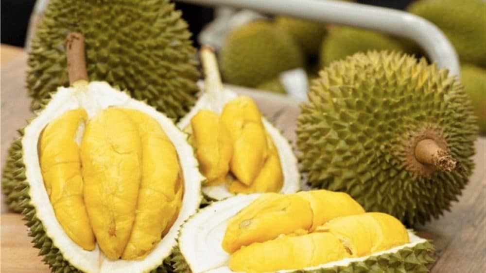 sau rieng cai monnongdailoc