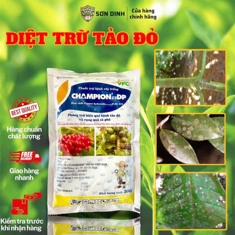 tao do