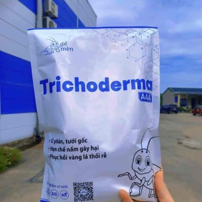 Trichoderma Dế Mèn: Tăng cường sức khỏe và phòng ngừa bệnh cho cây trồng