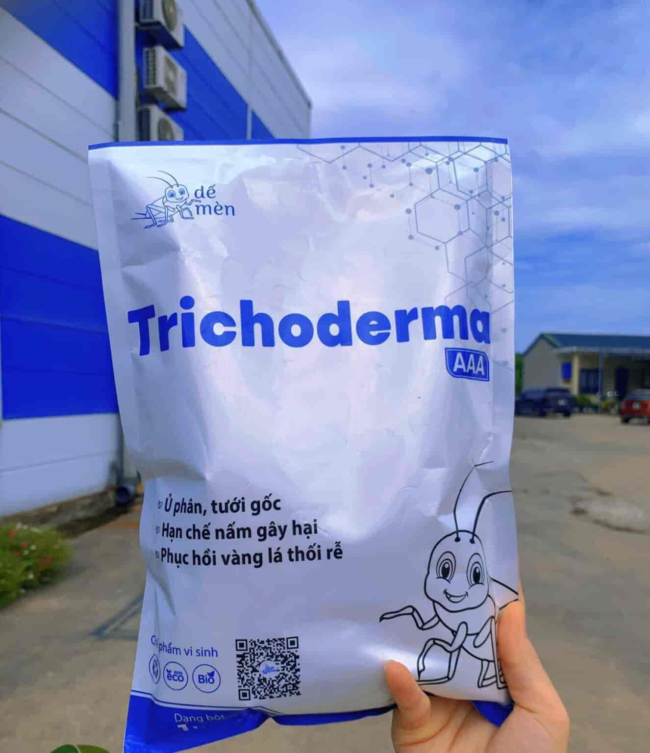 Trichoderma Dế Mèn: Tăng cường sức khỏe và phòng ngừa bệnh cho cây trồng 1 tricodema de men