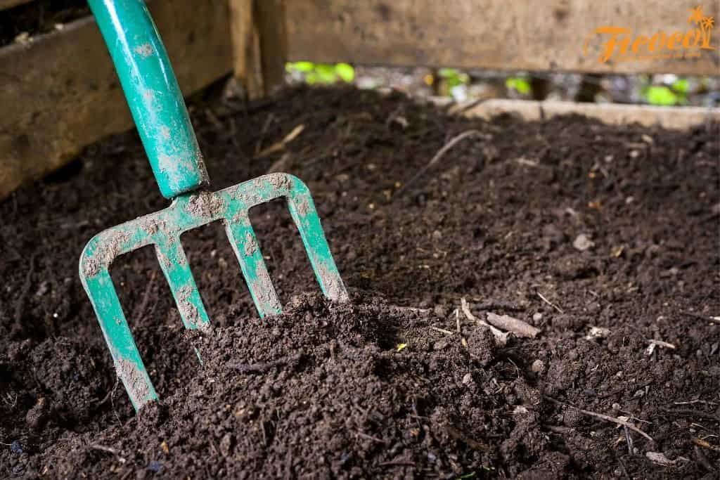 phan compost 5