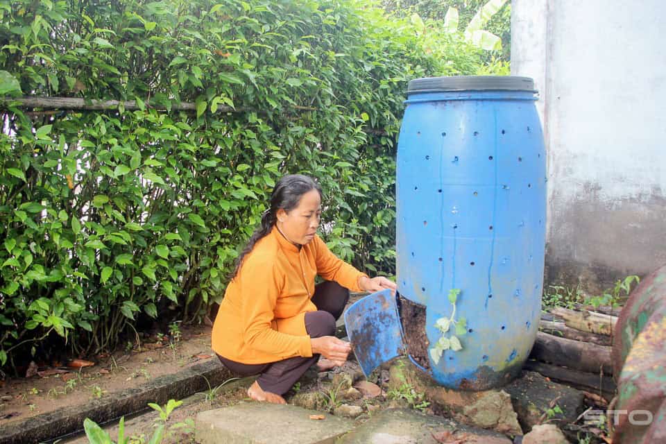 bón cây từ bã cà phê 