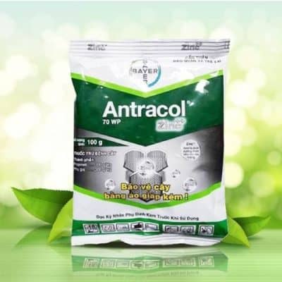 Thuốc trừ bệnh - Diệt nấm cây trồng ANTRACOL 70WP