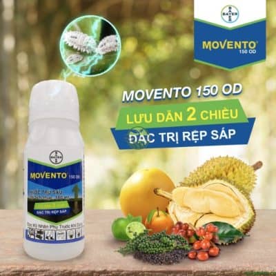 huốc trị rệp sáp Movento 150OD